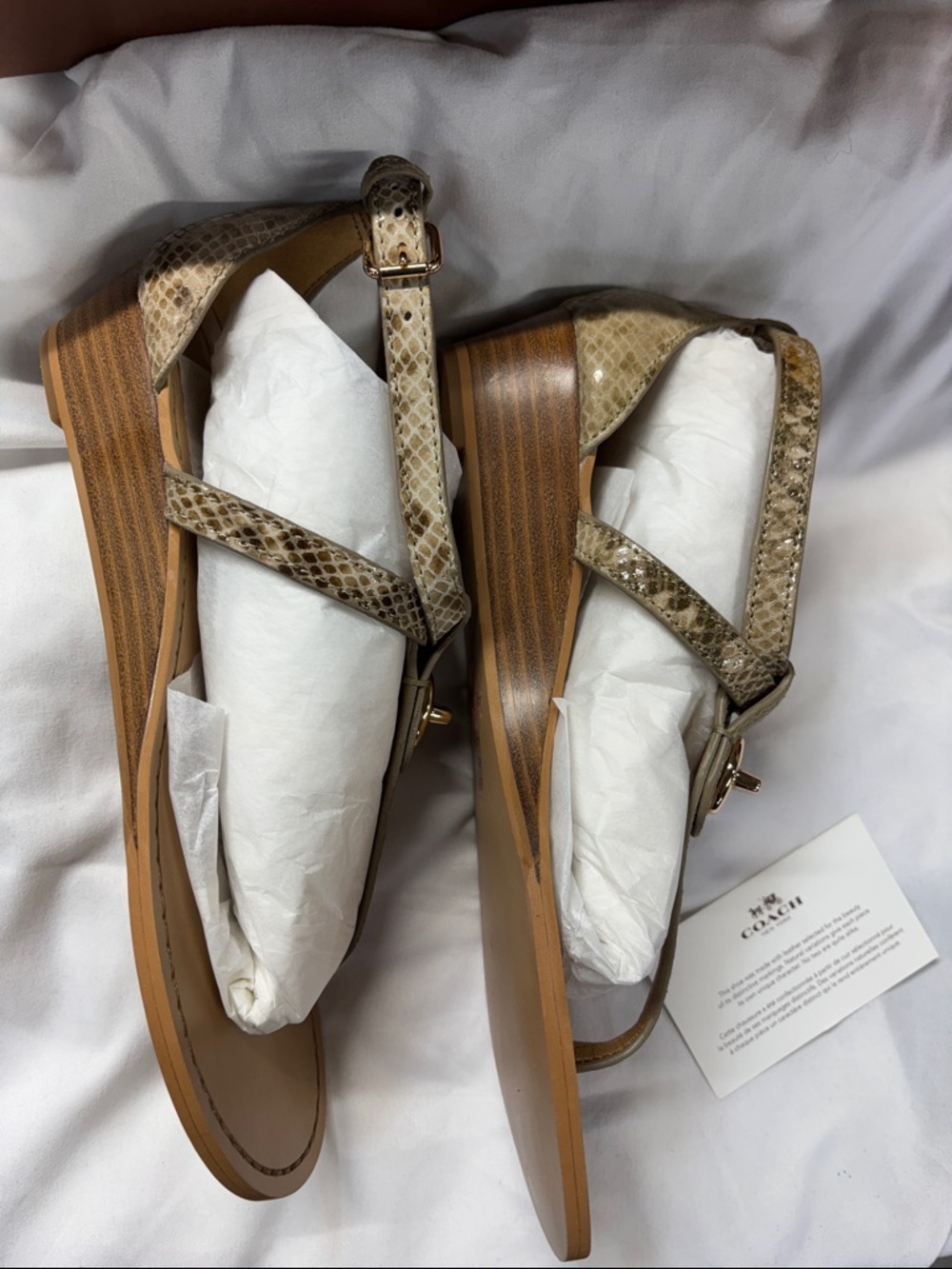 Coach Turnlock Leather Sandals Ingrid Nat embossed T strap Snake Print Gladiator - Picture 9 of 14
